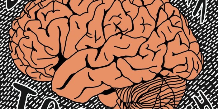 1280x720 Psychedelic, Anatomy, Samsung, Skull,brain, Wallpaper, Funny