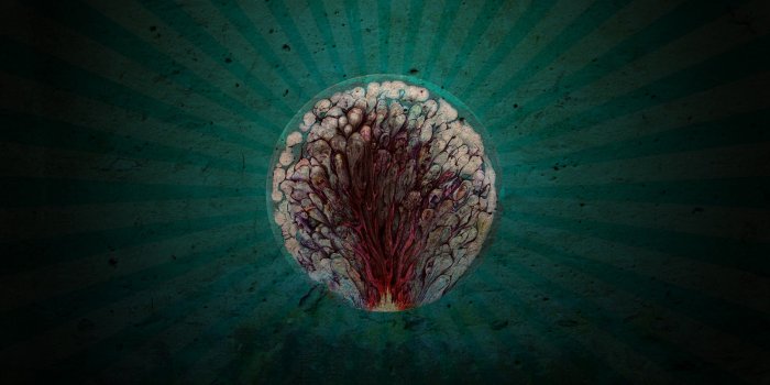 2560x1600 HD Abstract Wallpapers, Horror, Peace Widescreen,dark, Brain