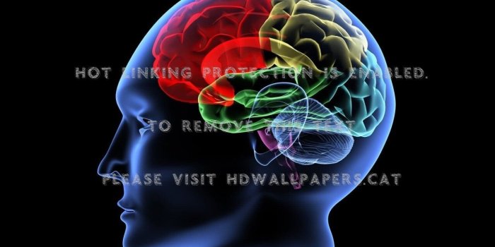 1280x800 color brain male abstract fantasy