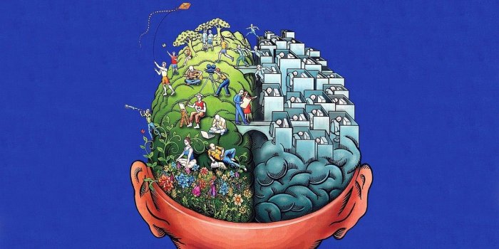 1920x1080 Full HD p Brain Wallpapers HD, Desktop Backgrounds 1440×900 Brain