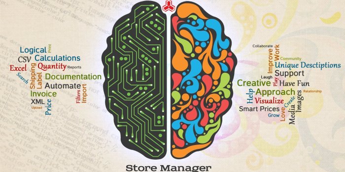 2549x1607 Brain Anatomy Wallpaper ·① WallpaperTag