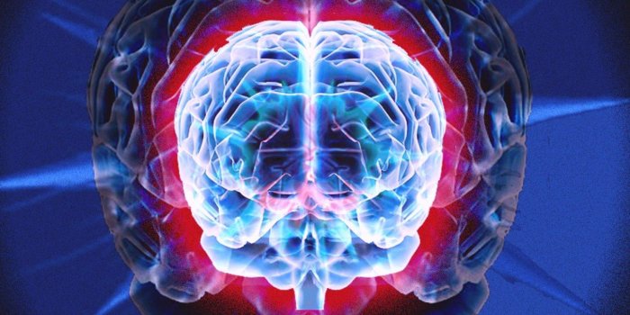 1360x768 39+] Brain Wallpaper HD on WallpaperSafari