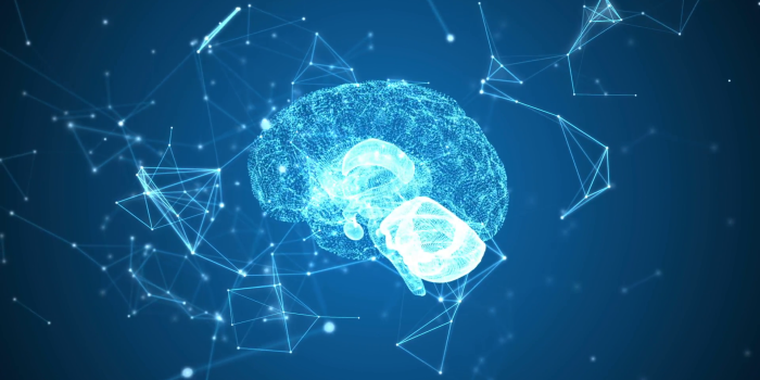 1920x1080 Human brain being formed by revolving particles. Plexus structure