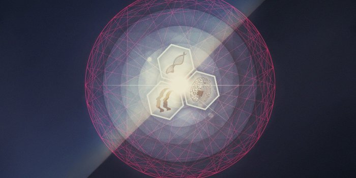 1920x1200 Abstract, brain, circles, contortionist, holomovement, light, HD