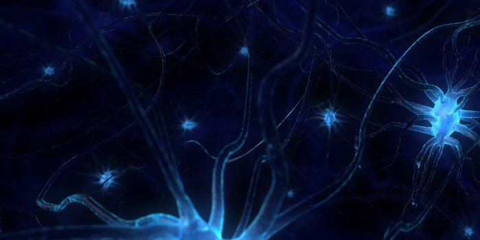 1920x1080 Best 50+ Brain Backgrounds on HipWallpaper | Brain Wallpaper