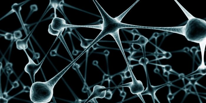 1200x675 abstract-neurons-desktop-hd-wallpaper-14618 - Marek Rei