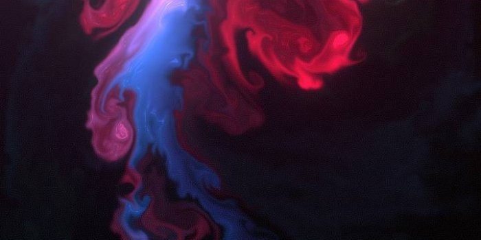 720x1280 Brain Stem wallpaper by ErinPattarino - 65 - Free on ZEDGE™