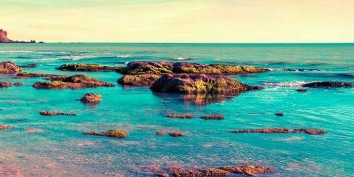 720x1280 Ocean Colorful Wallpapers