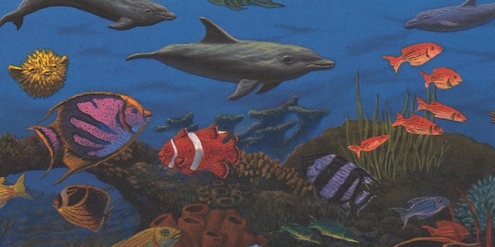 1500x1310 Colorful Fish in the Bottom of the Ocean Nautical Wide Wallpaper