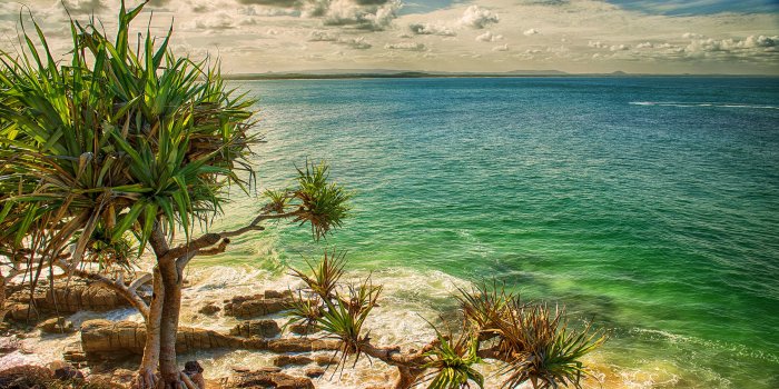 2880x1800 Australian Sea Coast Rocks Tree Turquoise Colored Ocean Distant