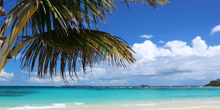 1920x1200 Colorful Beach Chairs Wallpaper Hd Wallpaper - Ocean And Palm