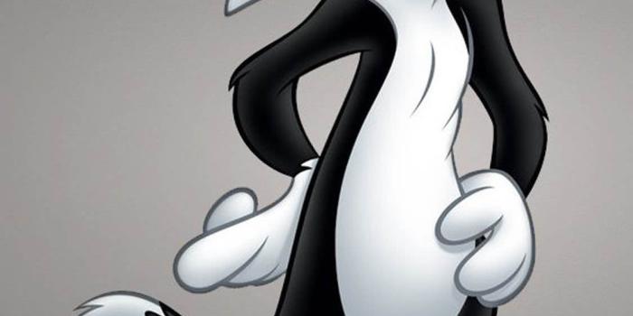 1125x2436 47+ Best Cartoon Wallpapers Optimized For iPhone - Templatefor