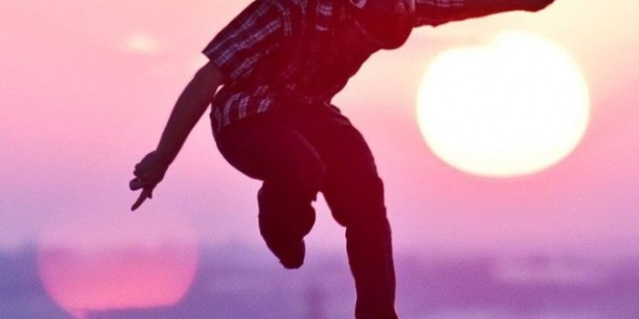 750x1334 Grizzly Skate Iphone Wallpaper posted by Zoey Tremblay
