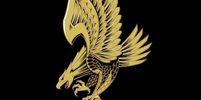 1260x1920 Primitive Skate Wallpapers HD