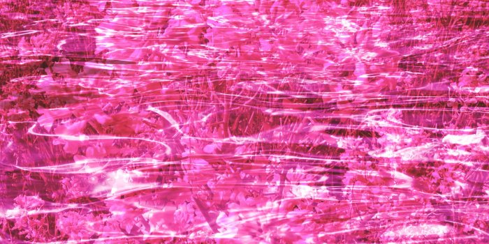 1920x1080 Pink color - Barbara's HD Wallpapers