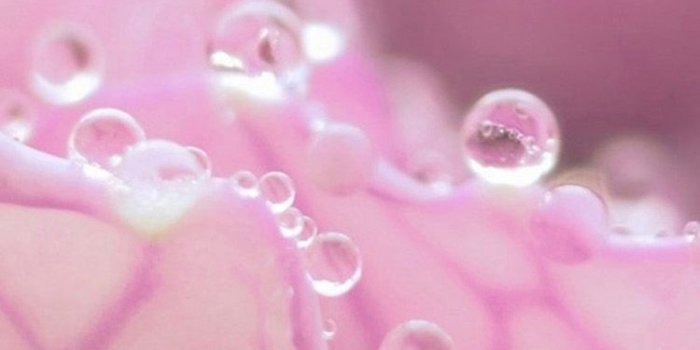 750x1334 Free download Pink Water Drop iPhone 6 Wallpapers HD iPhone 6