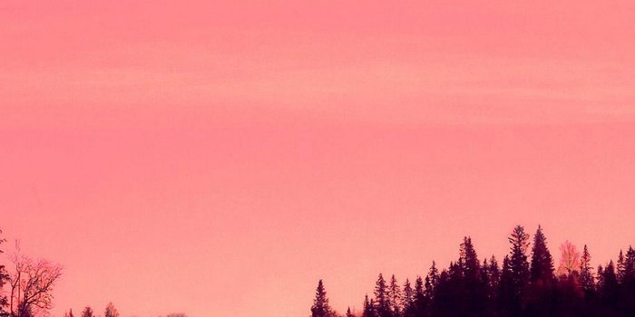 1440x3040 Pink Sky Nature Water Wallpaper - [1440x3040]