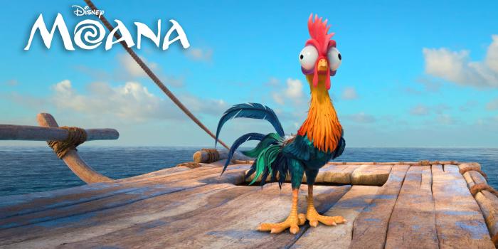 3840x2160 Wallpaper Moana, chiken, heihei, best animation movies of 2016