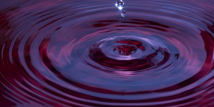 1920x1200 hd-wallpaper-with-snapshot-of-pink-water - Ibis Rice