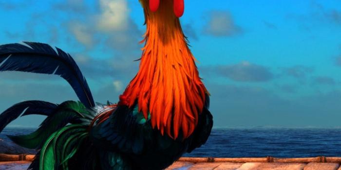 1200x1920 Moana Movie Logo - Hey Hey Moana Chicken, Download Wallpapers on