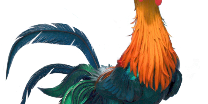 881x1338 Heihei | Moana, Moana chicken, Moana birthday