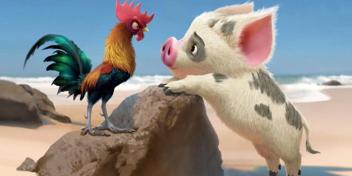 1200x744 Heihei/Gallery | Moana Wikia | Fandom