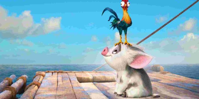 1280x800 Hei Hei and Pua | Disney art, Disney