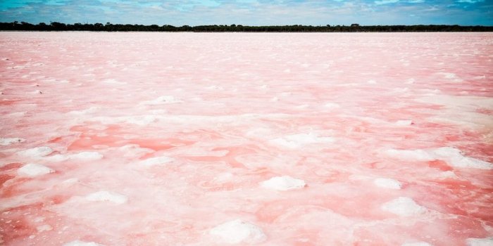 1000x1333 Pink Lake, Australia Pictures | Download Free Images on Unsplash