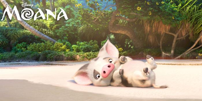 3840x2160 20 Best Moana Wallpapers Collection - Creative WordPress Themes