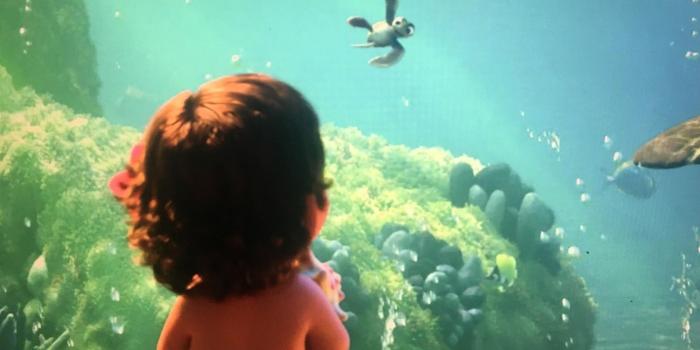 1680x1050 Download Moana, Ocean Wallpaper - Moana Desktop Wallpaper Hd