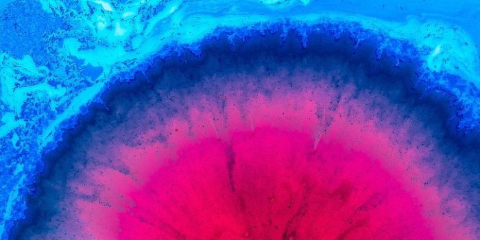 728x1092 HD wallpaper: liquid, spots, paint, blue, pink, close-up, no