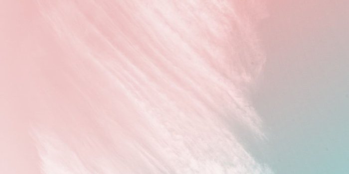 1000x1500 Pink Nature Pictures | Download Free Images on Unsplash