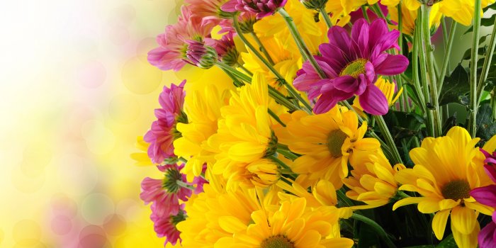 6000x3750 Beautiful Flowers Bouquet With Yellow And Purple Green - Yellow