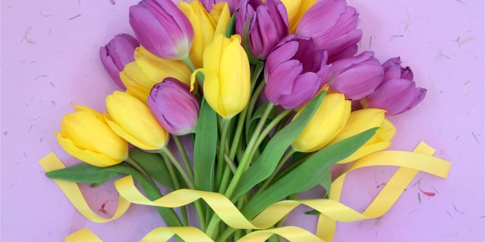 2560x1600 Wallpaper Purple yellow flowers, tulips bouquet, ribbon 2560x1600