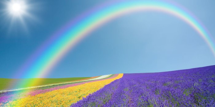 3500x2100 Download 3500x2100 landscape nature field fields flowers flowers