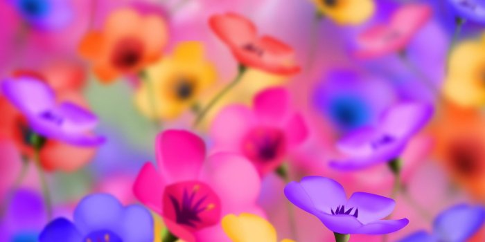 1920x1252 Pink, yellow and purple flowers HD wallpaper | Wallpaper Flare
