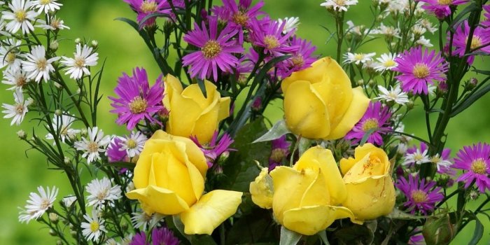 1600x1000 Beautiful Yellow Purple White Flowers HD Wallpapers