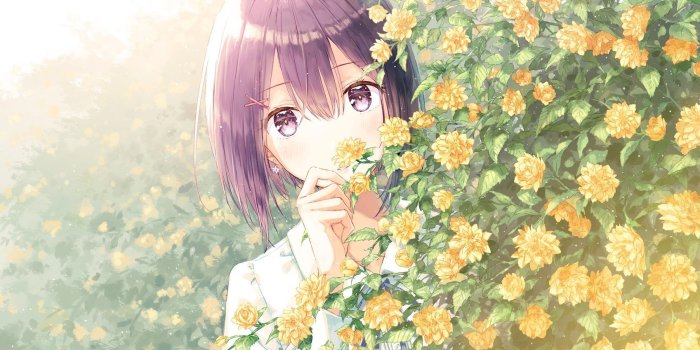 1697x1200 Anime Flower Wallpapers - Top Free Anime Flower Backgrounds