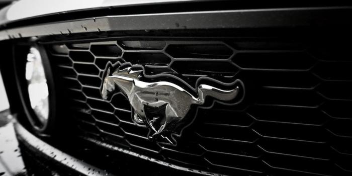 1280x782 Mustang Logo Wallpapers - Top Free Mustang Logo Backgrounds