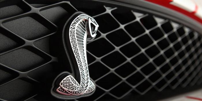 1920x1200 Ford Shelby Logo, HD Cars, 4k Wallpapers, Images, Backgrounds
