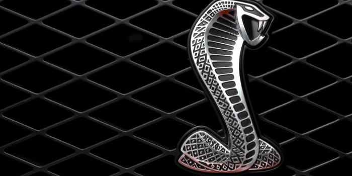 1920x1080 Cobra emblem, car, Ford Mustang Shelby, logo, snake HD wallpaper