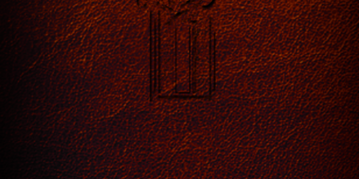 720x1280 Free download Ford Mustang Logo Wallpaper [720x1280] for your