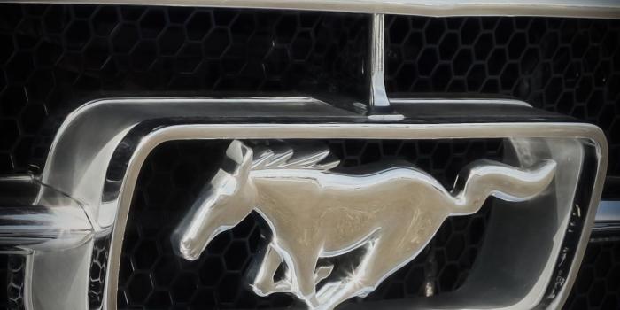 1342x2012 Ford Mustang Wallpapers - 4K Ultra HD High Resolution - Free Download