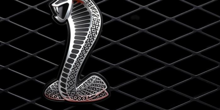 1920x1200 Ford mustang logo wallpaper - SF Wallpaper