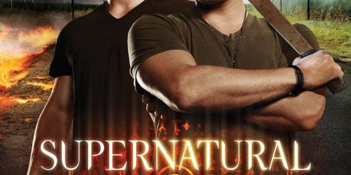 875x1014 Supernatural Season 10 Customized 14x16 inch Silk Print Poster