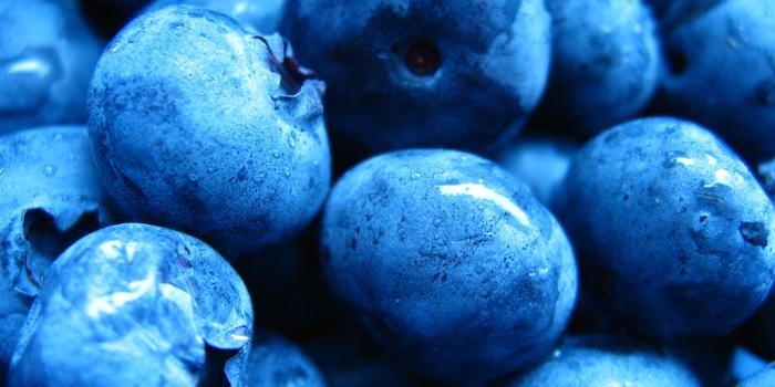 2816x2112 Blue Blueberry - Colors Photo (34683009) - Fanpop