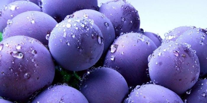 1020x800 Blue Blueberry - Colors Photo (34682997) - Fanpop - Page 2