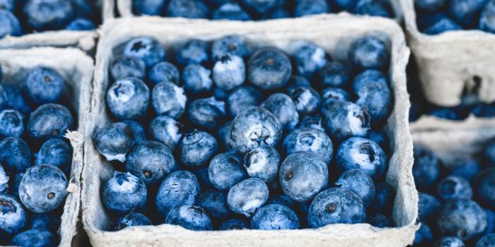 4000x2668 Blueberry 56136 - Background color theme - Colorful wallpaper