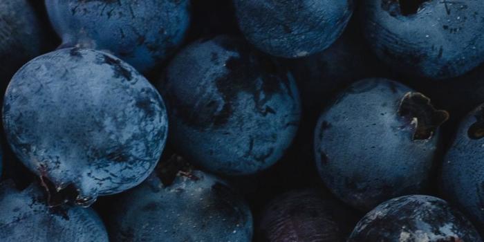1080x2160 1080x2160 Fresh, blueberries, dark-blue, fruit wallpaper in 2020