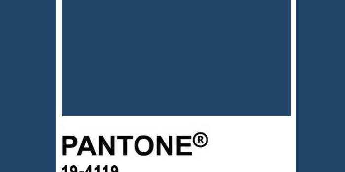 757x1485 100 Pantone Color Palettes : Pantone Blueberry Pancake 19-4119